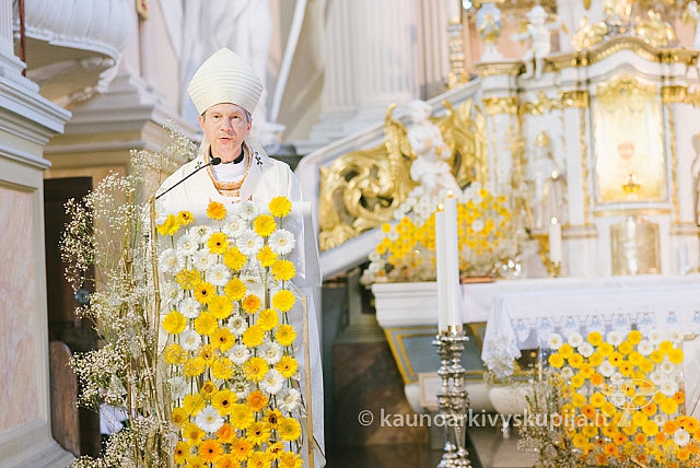 20160915 silines 2331 ms