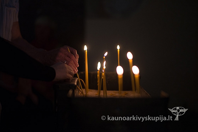 20160915 silines 2346 ms