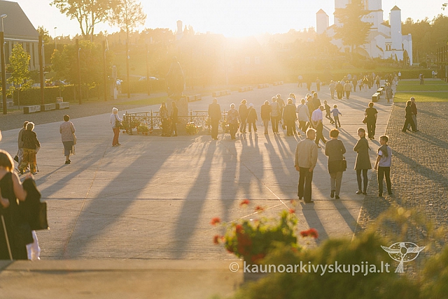 20160915 silines 2352 ms