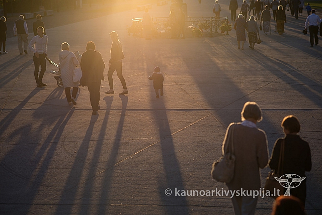 20160915 silines 2353 ms