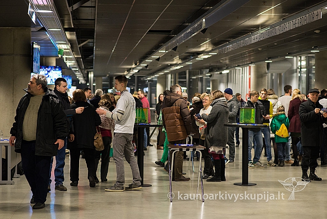 2016 valentinas-k 1680 ms