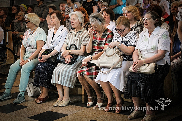 20160624 kn90 7196 ev