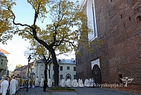 2007 kn-sinodas 1017 sk