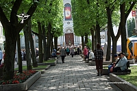 2008 devintines 1079 ds