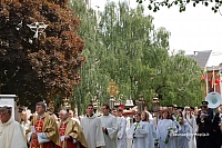 2008 devintines 1136 ds