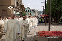 2008 devintines 1141 ds