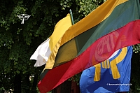 2008 devintines 1156 ds