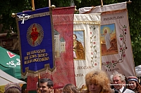 2008 devintines 1159 ds