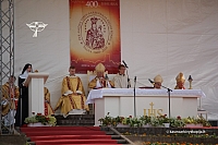 2008 devintines 2041 ds