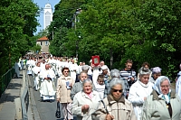 2008 devintines 0816 ak