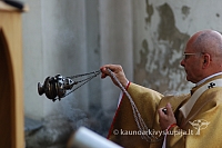 2008 devintines 0896 ak