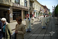 2008 devintines 0991 ak