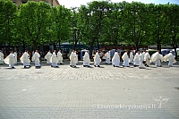 2008 devintines 1016 ak