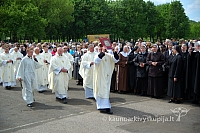 2008 devintines 2211 ak