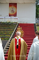 2008 devintines 2219 ak