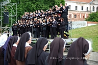 2008 devintines 2252 ak