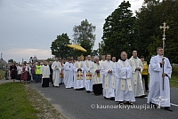 20080906 silines400 2571 sk