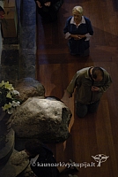 20080909 silines400 1001