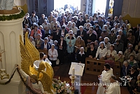 20080909 silines400 1039