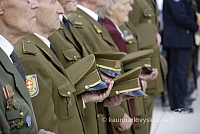 20080909 silines400 2039