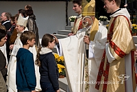 20080912 silines400 2093 sk