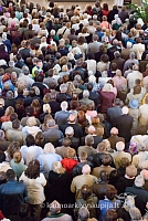 20080912 silines400 2122 sk