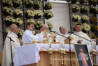 20080913 silines400 2021 sk