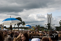 20080913 silines400 2051 sk