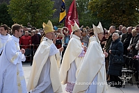 20080913 silines400 2077 sk