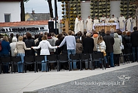 20080913 silines400 2094 sk