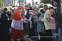 20080914 silines400 1103 sk