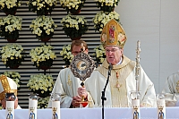 20080914 silines400 4136 ak