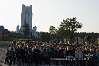 20080914 silines400 5081 sk