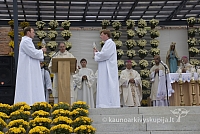 20080915 silines400 1081 sk