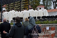 20080915 silines400 1109 sk