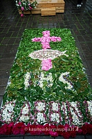 Devintinės, 2009-06-14