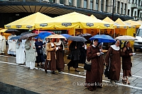 2009 devintines 7717 ak