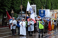 2009 devintines 7780 ak