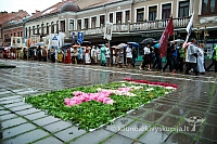 2009 devintines 7855 ak