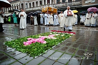 2009 devintines 7860 ak