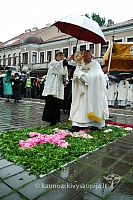 2009 devintines 7862 ak