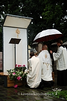 2009 devintines 7873 ak