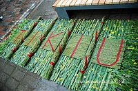 2009 devintines 7935 ak