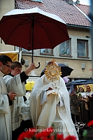 2009 devintines 7942 ak