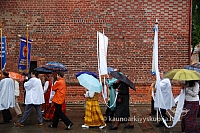 2009 devintines 7982 ak