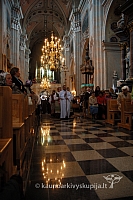 2009 devintines 8002 ak