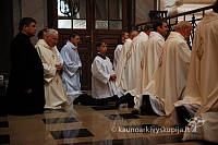 2009 devintines 8031 ak