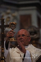 2009 devintines 8117 ak