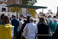 20090909 silines 0147 sk