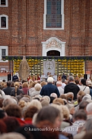 20090913 silines 1129 ds